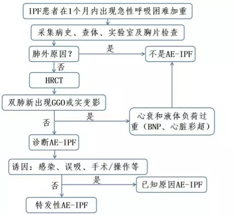 &#20048;&#40060;