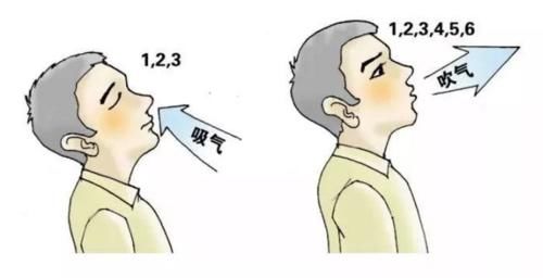 &#20048;&#40060;