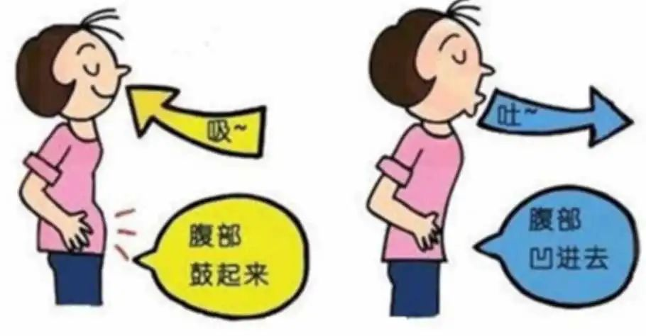 &#20048;&#40060;
