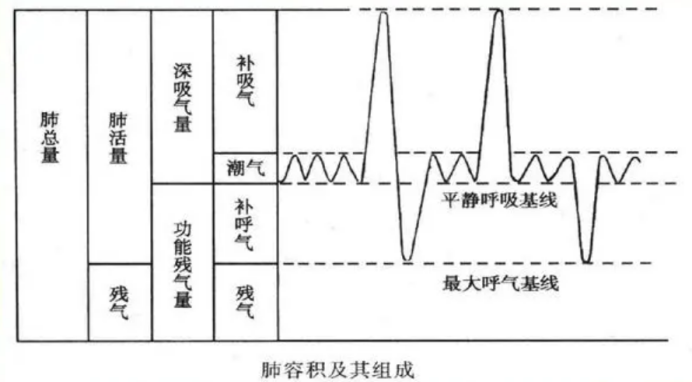 &#20048;&#40060;