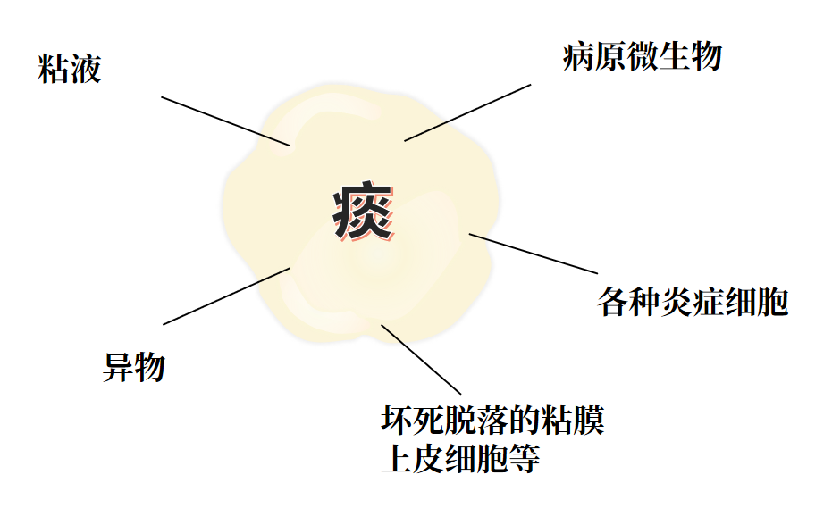 &#20048;&#40060;